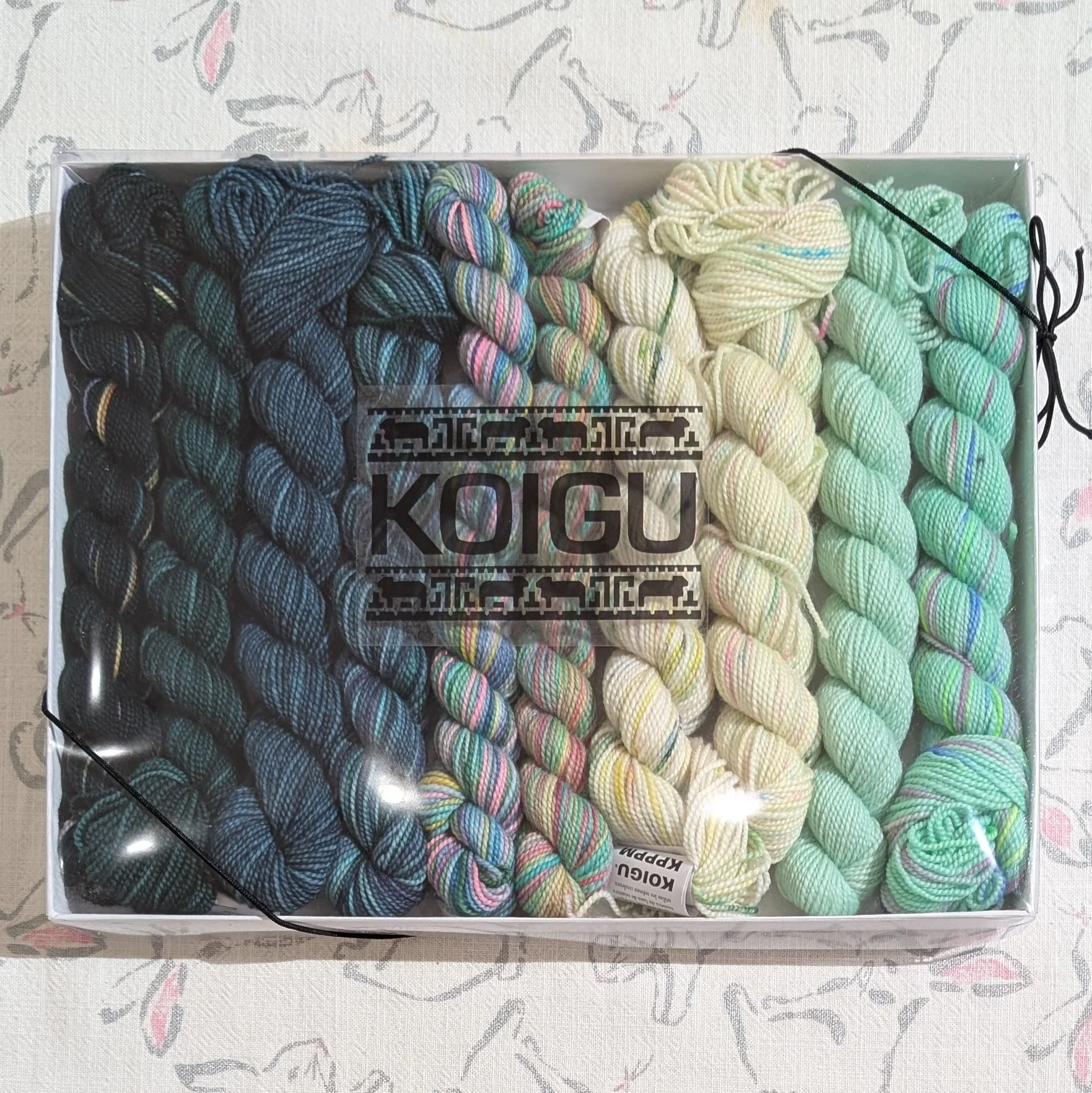 Koigu | Pencil Box | 10 x 25g | Mojito