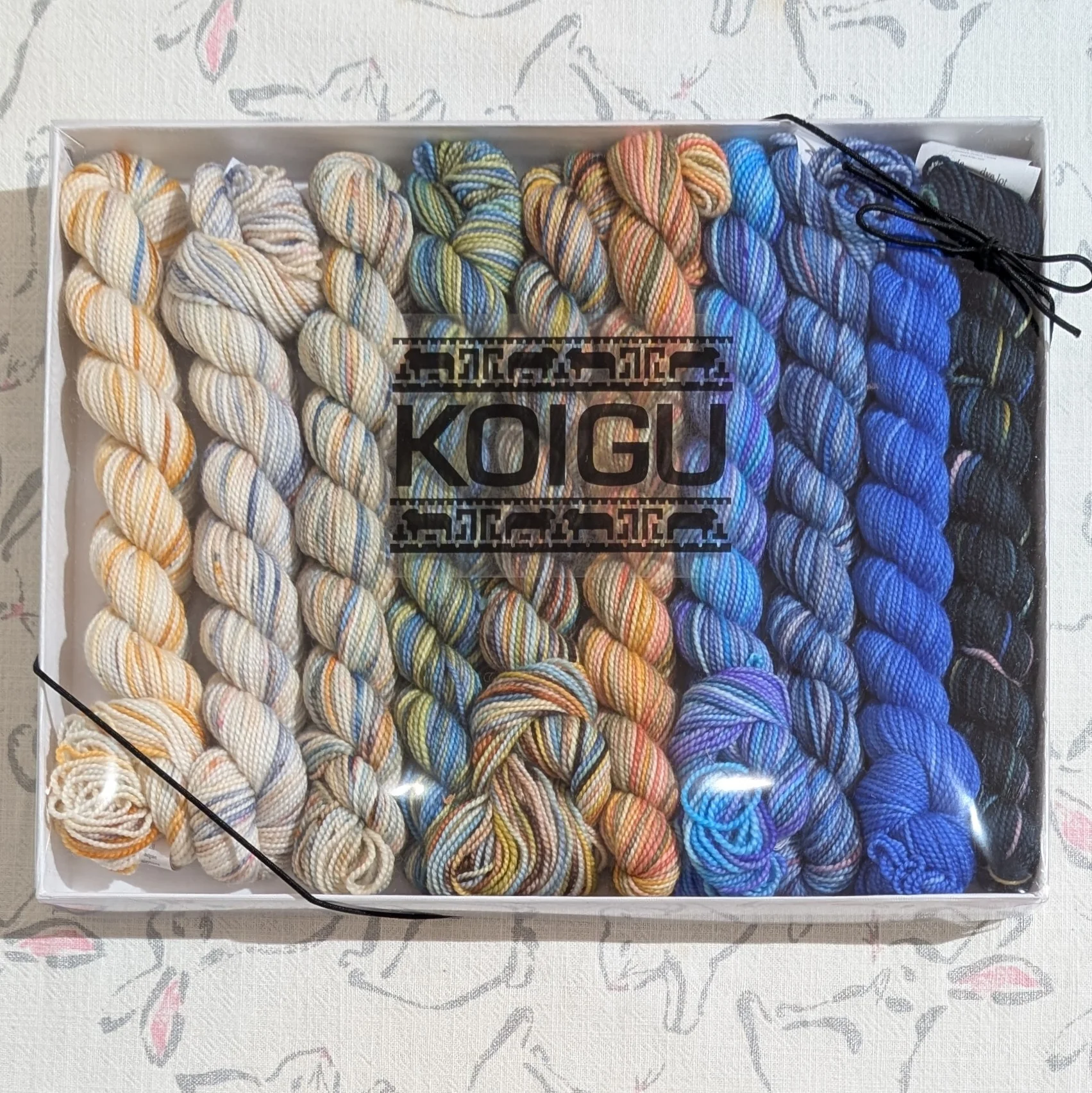 Koigu | Pencil Box | 10 x 25g | Shadow Spice