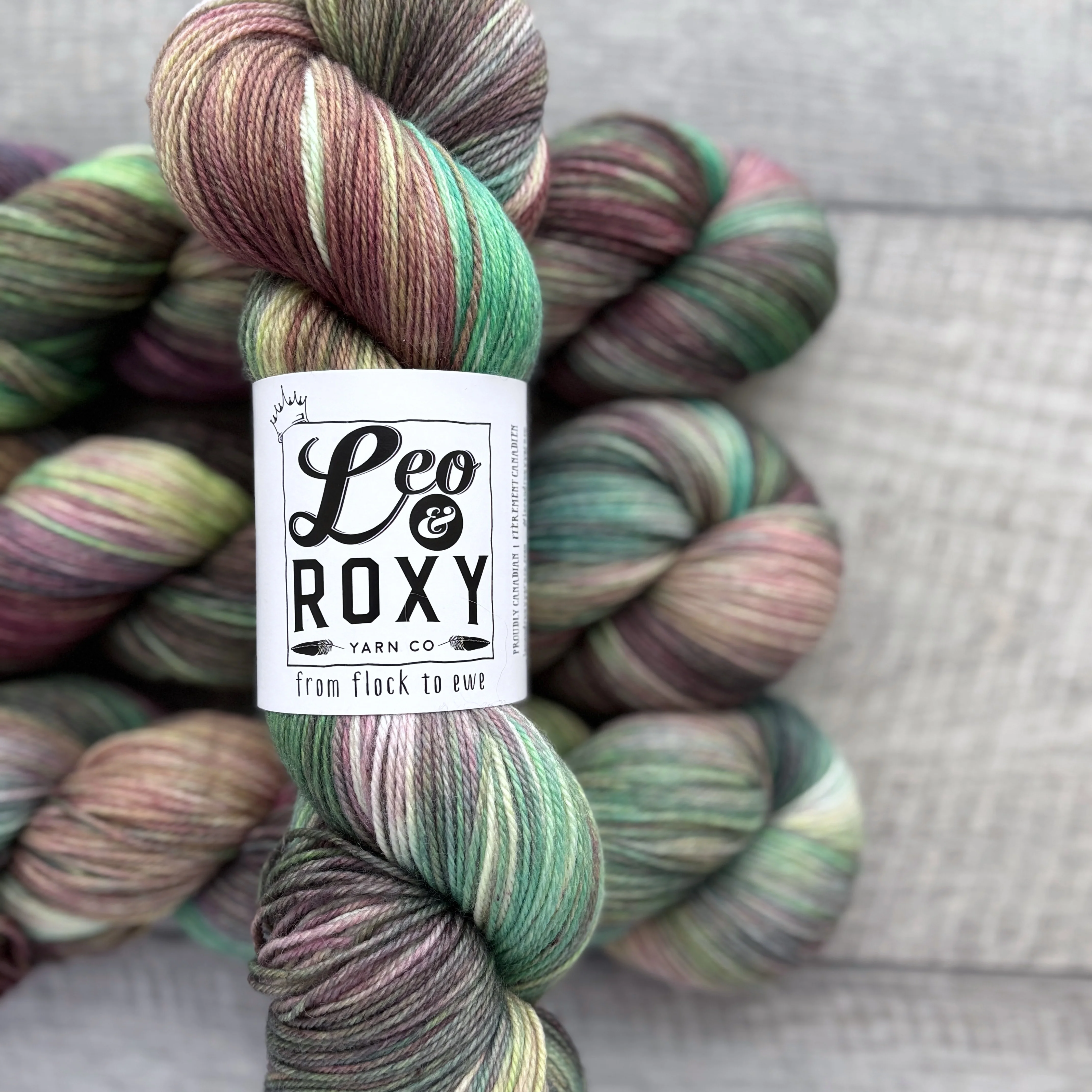Leo and Roxy | 80/20 sock | Brights collection - Image 15