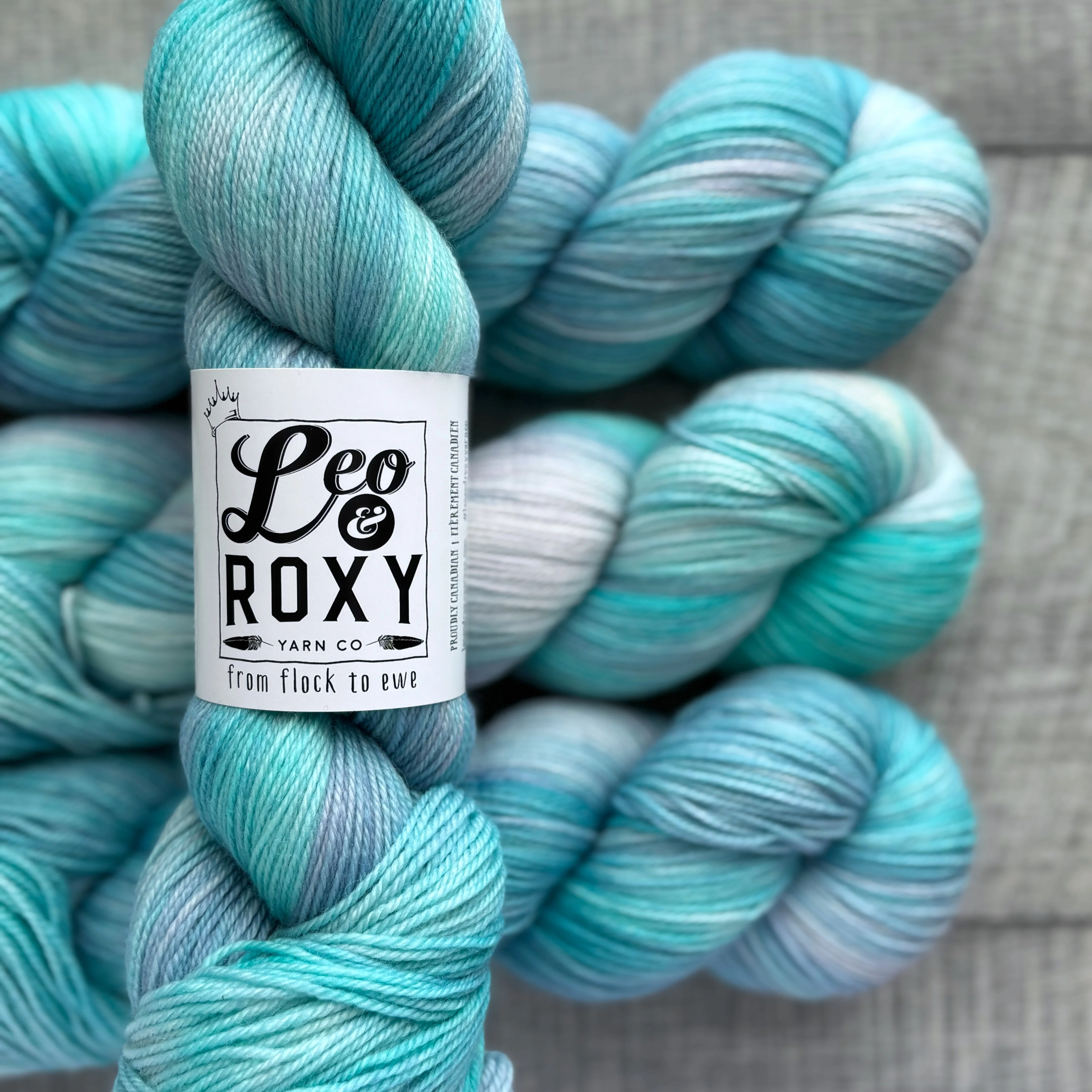 Leo and Roxy | 80/20 sock | Brights collection - Image 18
