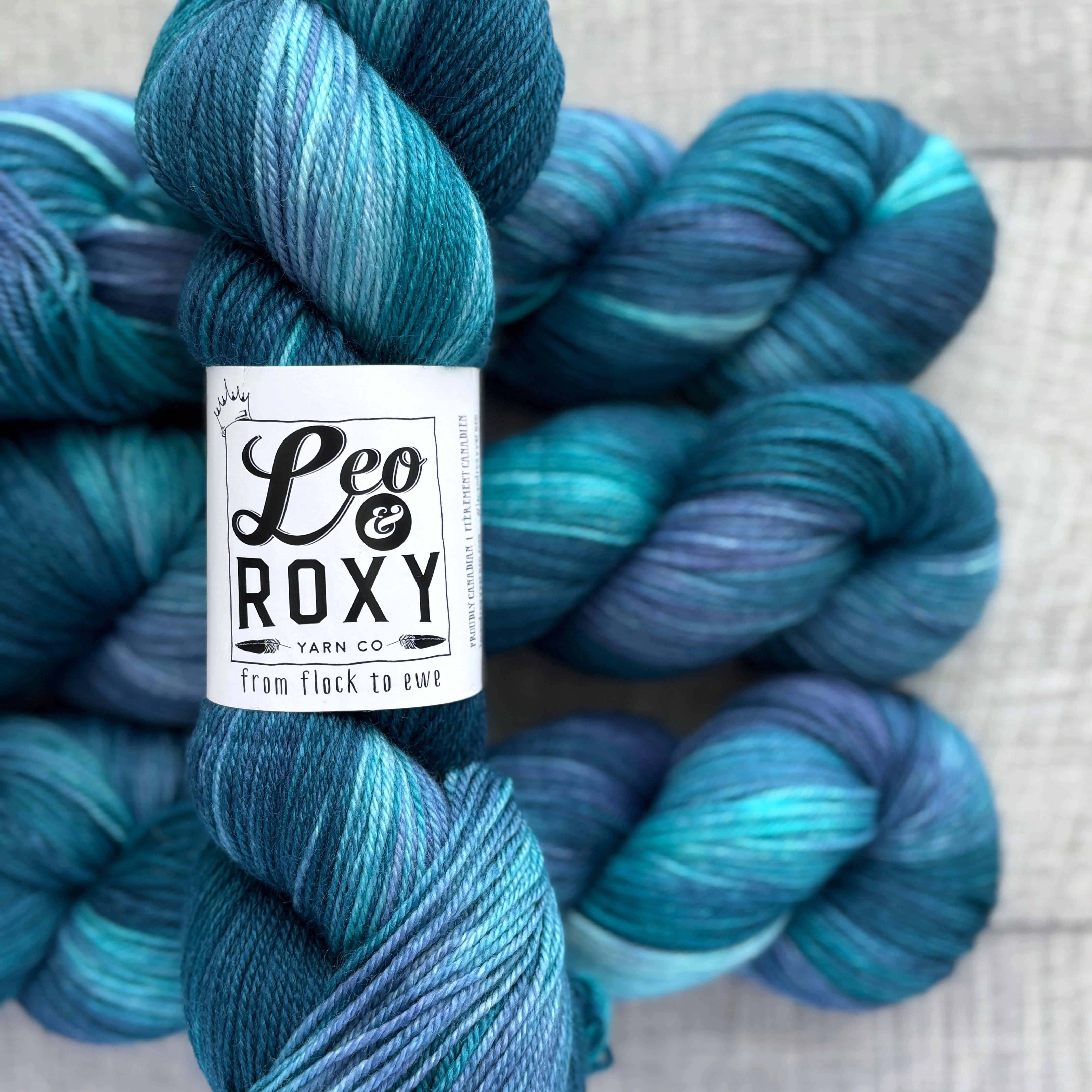 Leo and Roxy | 80/20 sock | Brights collection - Image 19