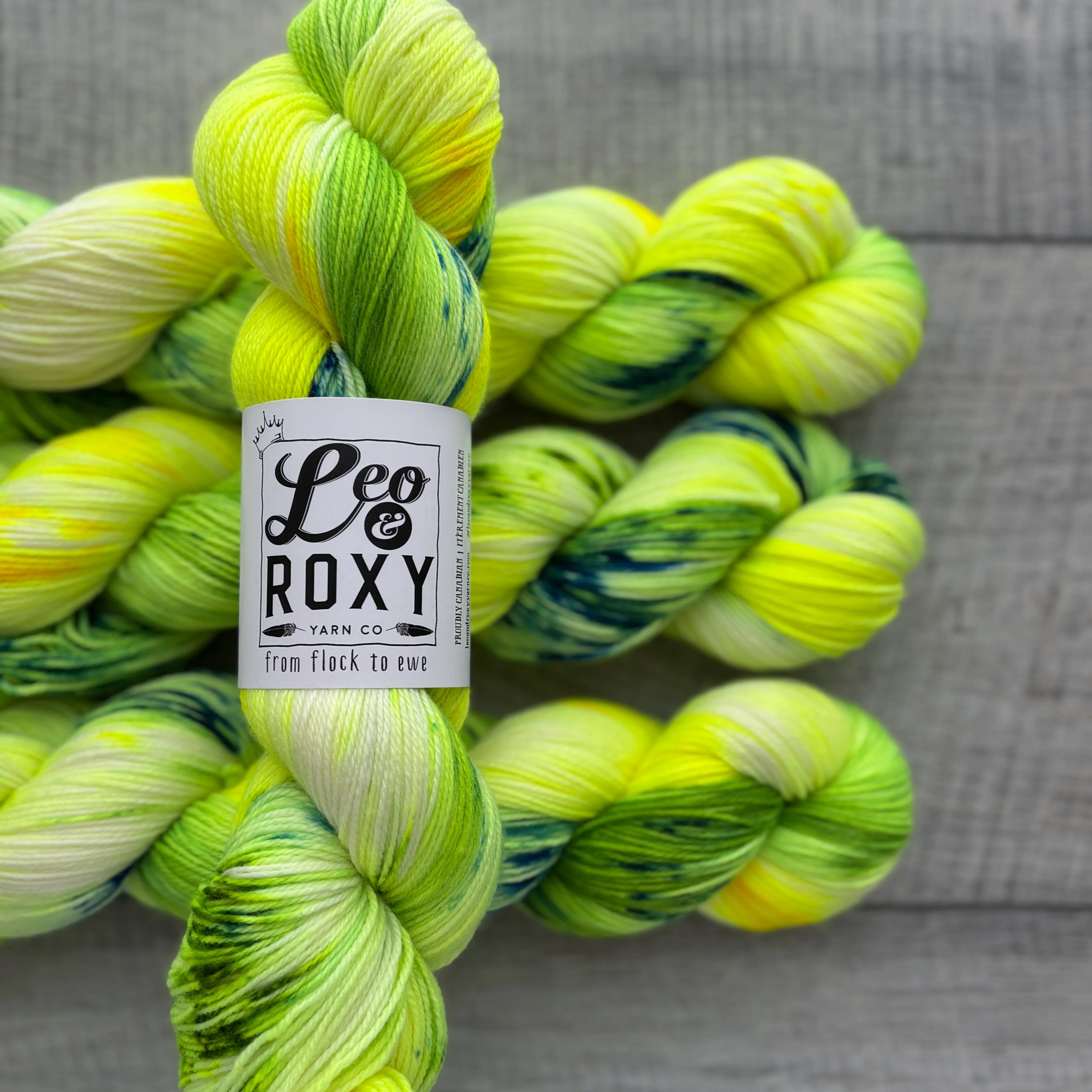 Leo and Roxy | 80/20 sock | Brights collection - Image 20
