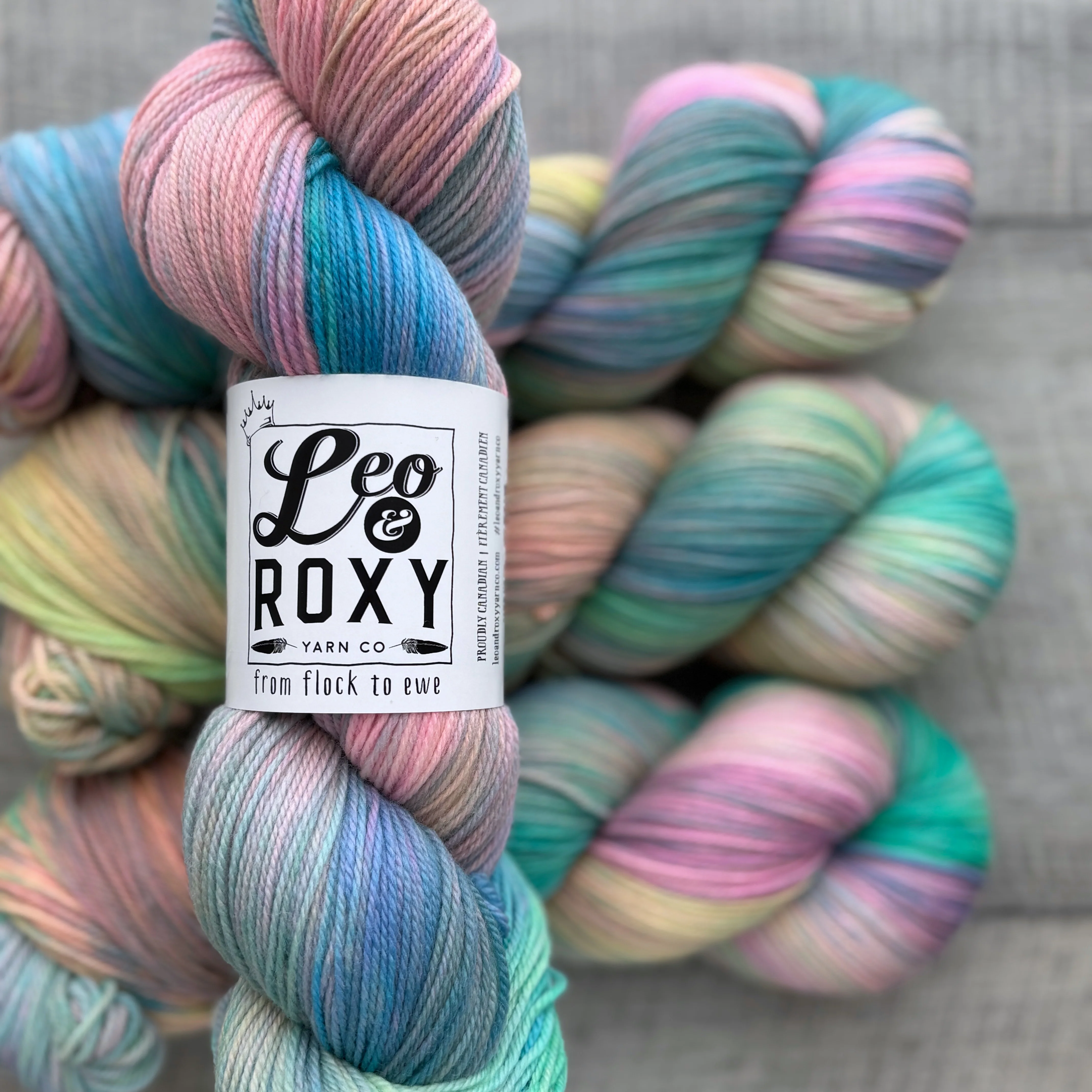 Leo and Roxy | 80/20 sock | Brights collection - Image 4