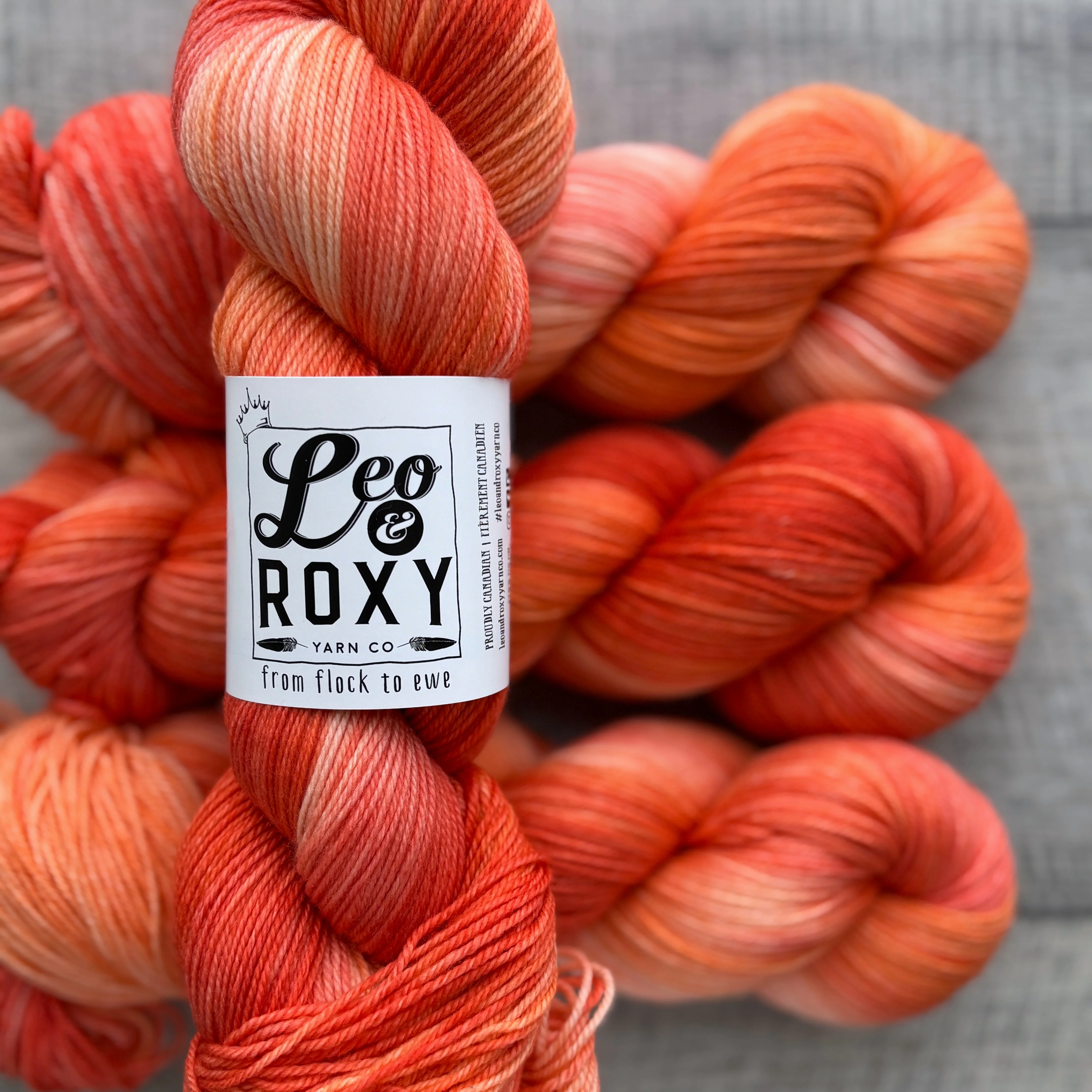 Leo and Roxy | 80/20 sock | Brights collection - Image 5