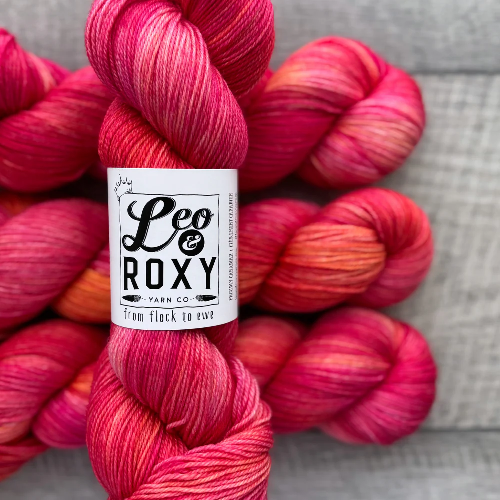 Leo and Roxy | 80/20 sock | Brights collection - Image 6