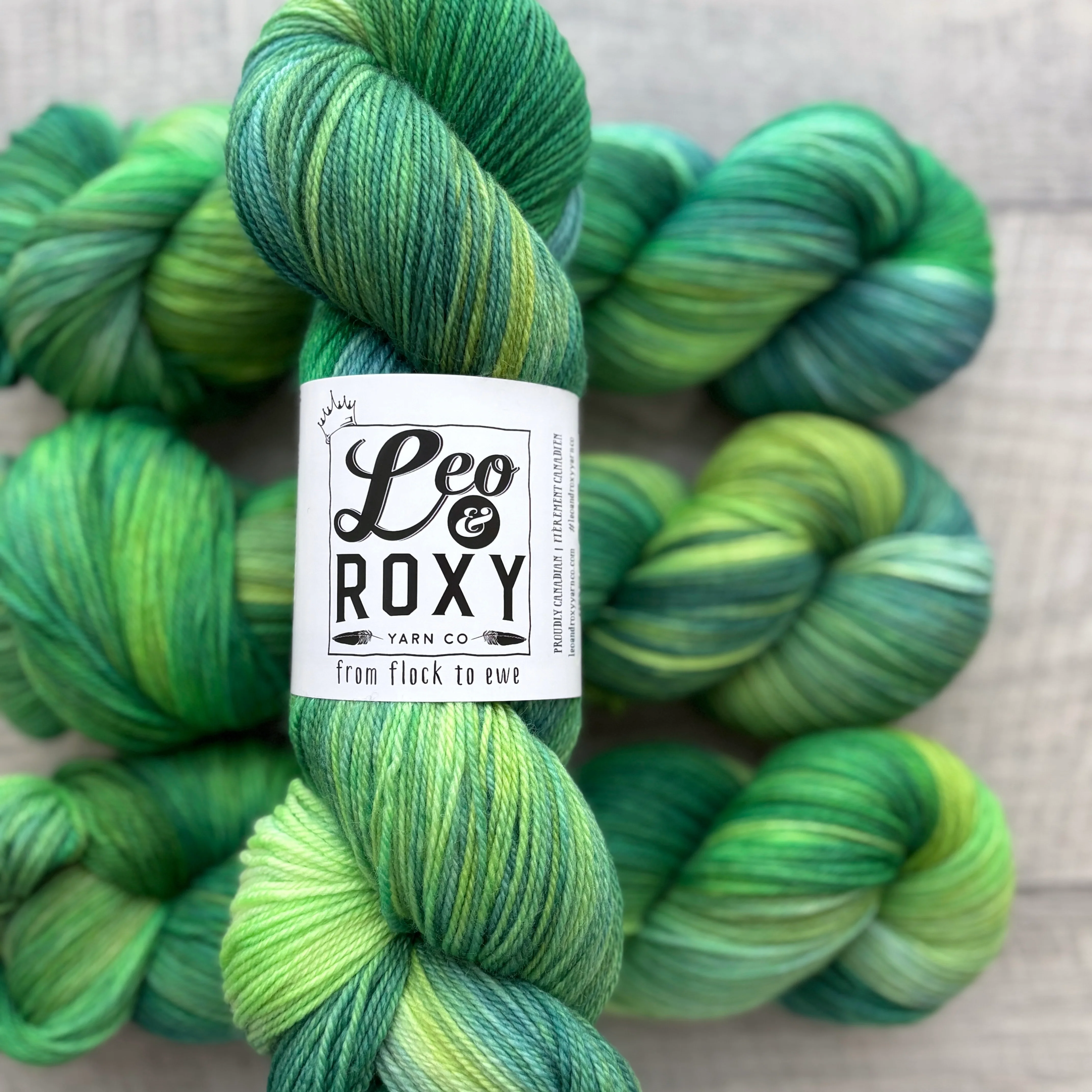 Leo and Roxy | 80/20 sock | Brights collection - Image 7