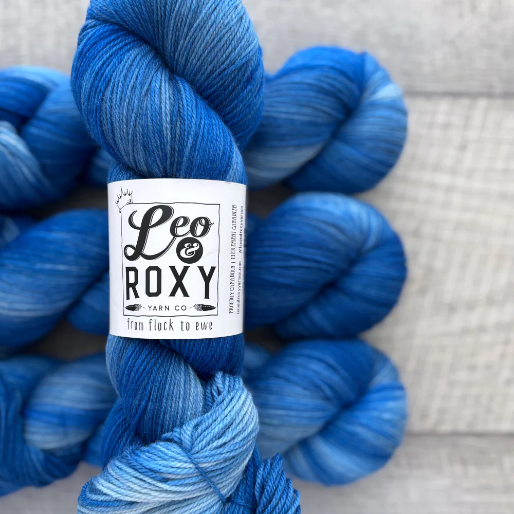 Leo and Roxy | 80/20 sock | Brights collection - Image 8